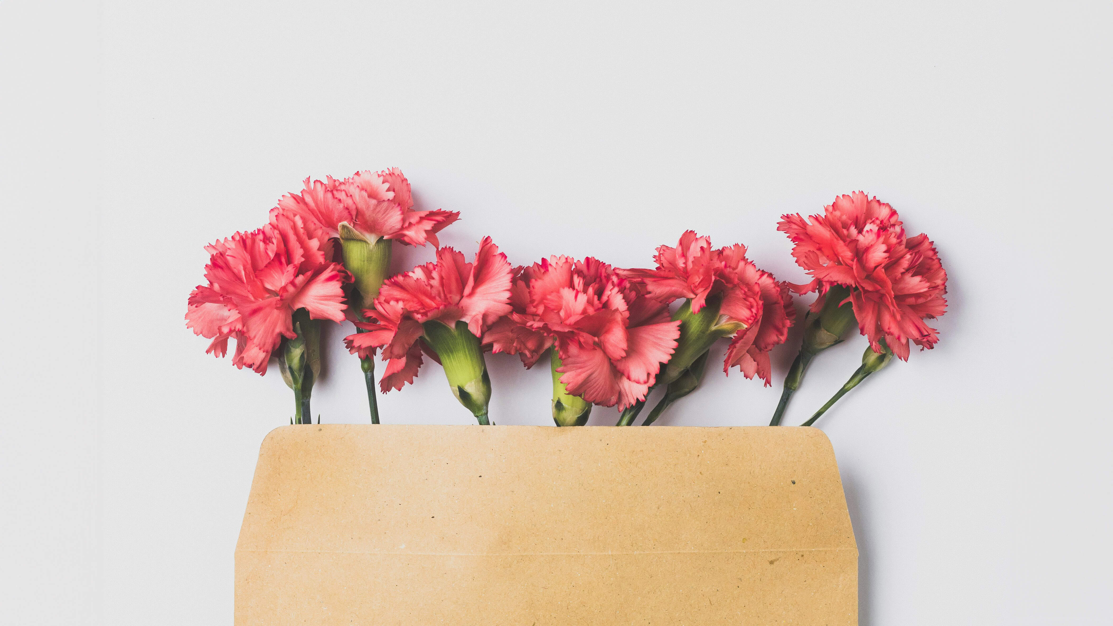 🌷 Celebrate Mom with a Gift That Feels Like a Hug – Mother’s Day 2025 🌷