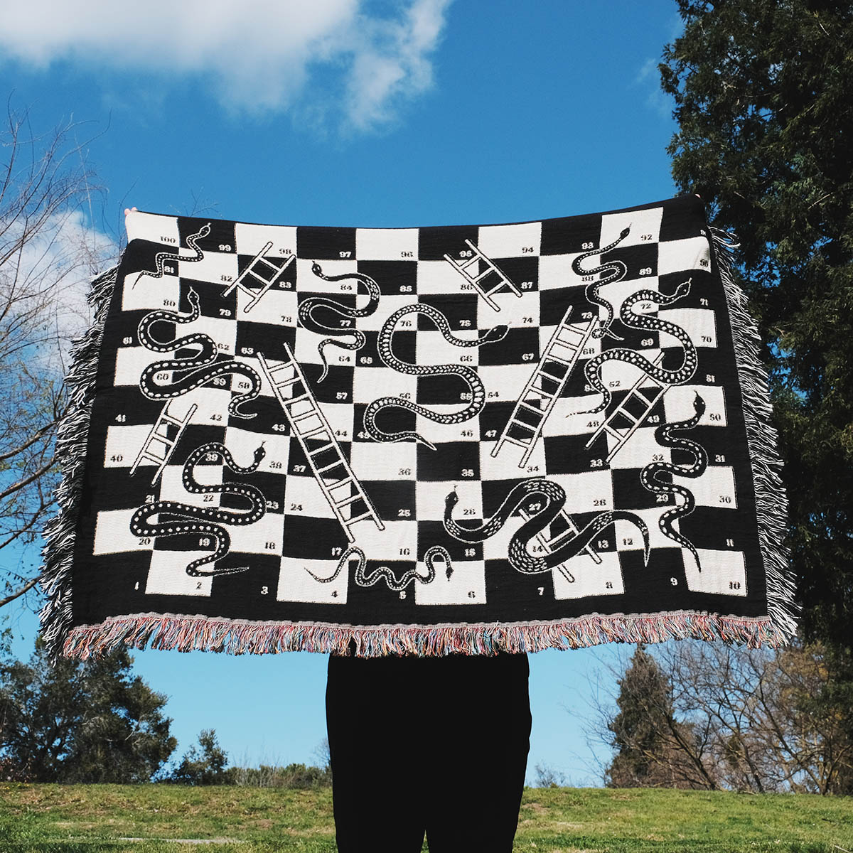 Snake and Ladder Woven Throw Blanket - Relatable Basic