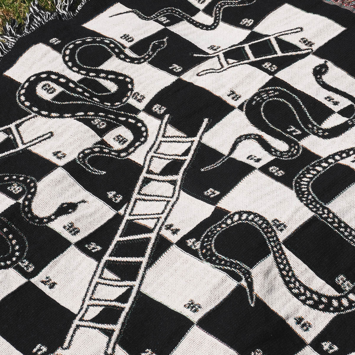 Snake and Ladder Woven Throw Blanket - Relatable Basic