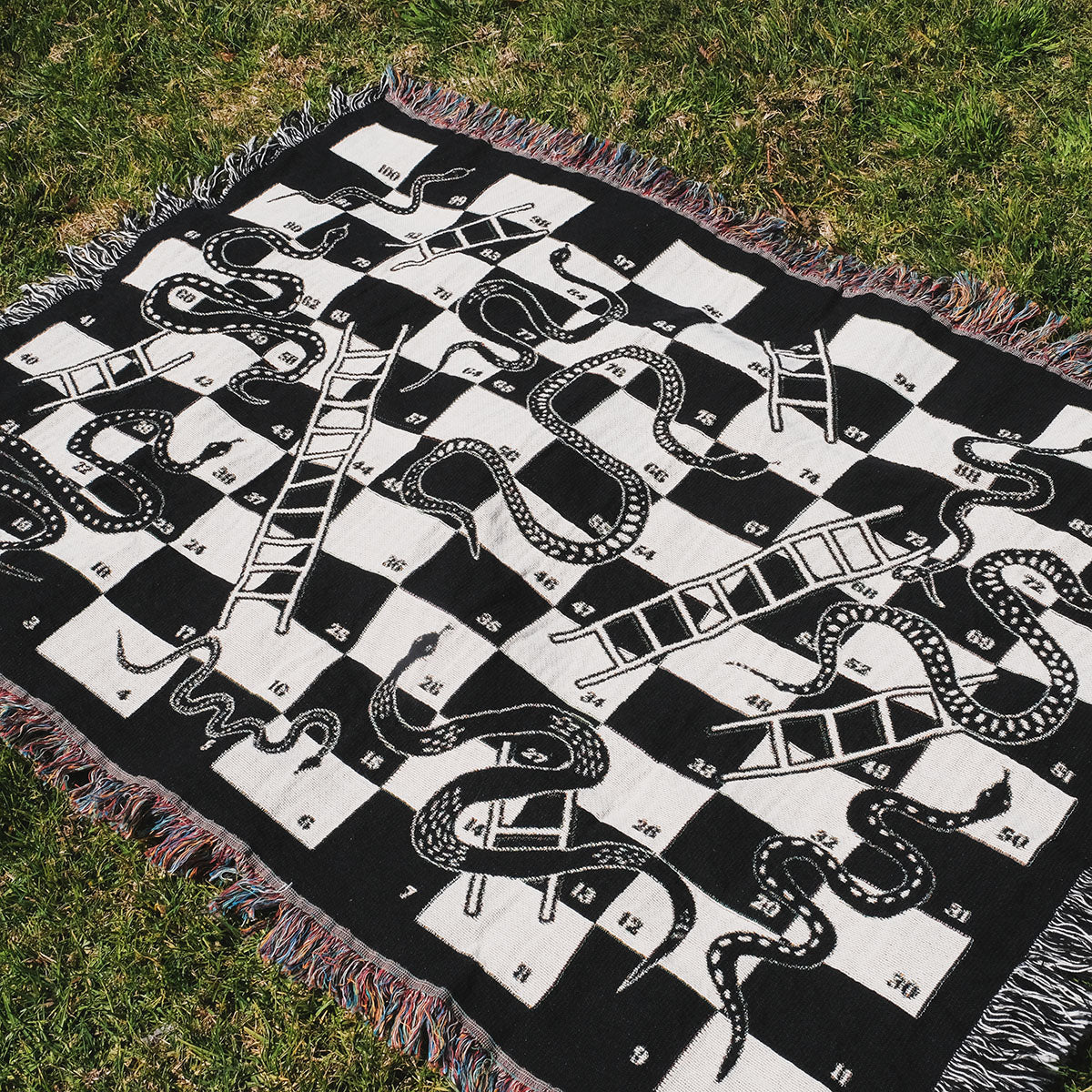 Snake and Ladder Woven Throw Blanket - Relatable Basic