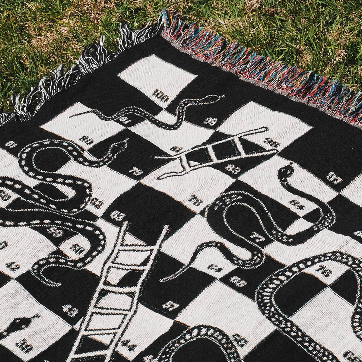 Snake and Ladder Woven Throw Blanket - Relatable Basic