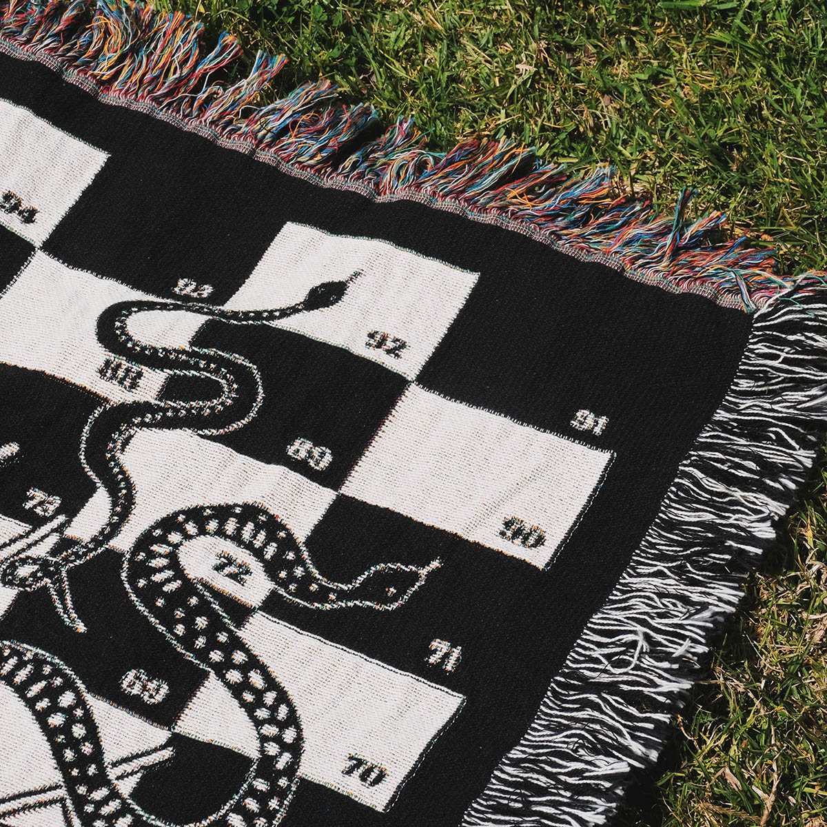 Snake and Ladder Woven Throw Blanket - Relatable Basic